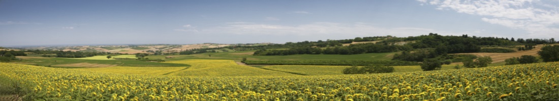 panoramica_chi_siamo