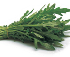 rucola