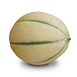 Freschi
