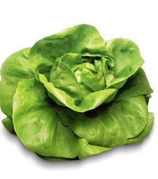 latt_trocadero_verde