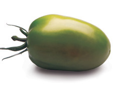 pom_cencara_verde